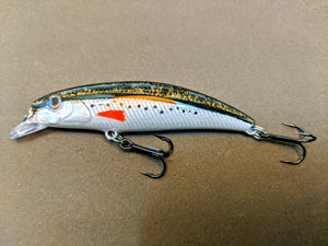 Extreme Spotted Redfin Black Nose Dace Lure 1/5 oz